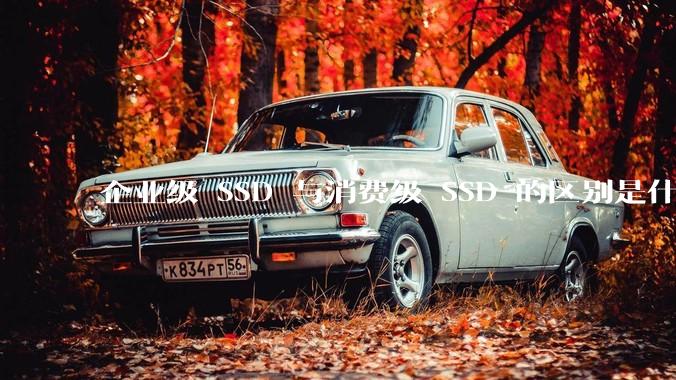 企业级 SSD 与消费级 SSD 的区别是什么？