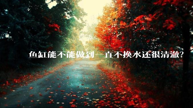 鱼缸能不能做到一直不换水还很清澈？