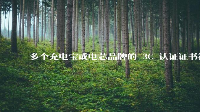 多个充电宝或电芯品牌的 3C 认证证书被暂停，涉及罗马仕、安克、绿联、倍思、安普瑞斯等，发生了什么？