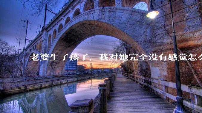 老婆生了孩子，我对她完全没有感觉怎么办？